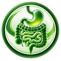 Gastroenterology